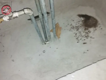 哈尔滨市卫生间测漏水价格明细